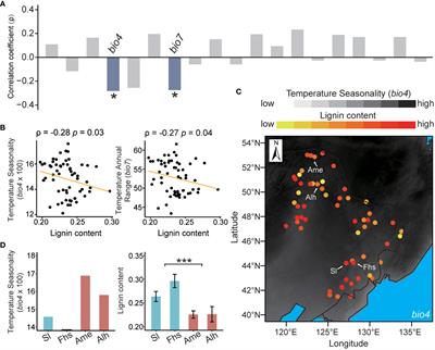 Climate-responsive DNA methylation is involved in the biosynthesis of lignin in birch